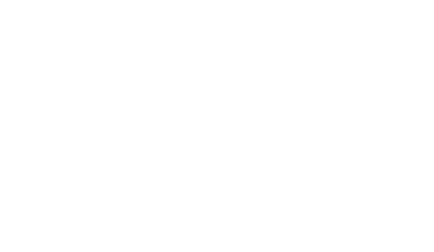 RESKINNED